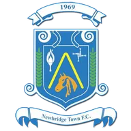 Logo of Newbridge Town