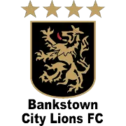 Logo of Bankstown City Lions