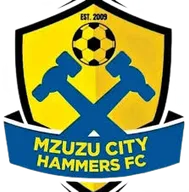 Logo of Mzuzu City Hammers