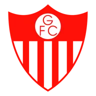 Logo of Guarany de Bage