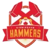 Logo of Birmingham Hammers