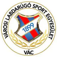 Logo of Vac VLSE U19