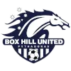 Logo of Box Hill United U20
