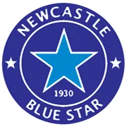Logo of Blue Star
