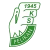 Logo of Pelikan Lowicz