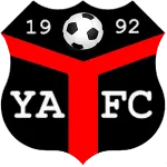 Logo of Ynyshir Albions