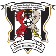 Logo of Newi Cefn Druids