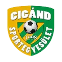Logo of Cigand SE
