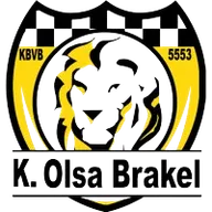 Logo of Olsa Brakel W