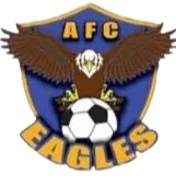 Logo of Academy Eagles FC