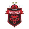 Logo of Wollongong Wolves U20