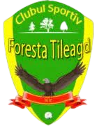 Logo of CS Foresta Tileagd
