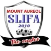 Logo of SLIFA