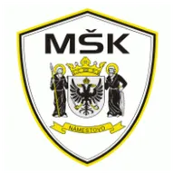 Logo of MSK Namestovo U19
