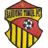 Logo of Bandung Timur FC