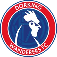 Logo of Dorking Wanderers (w)