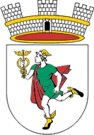 Logo of Idrija