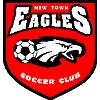 Logo of New Town Eagles