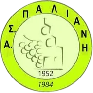 Logo of Paliani FC