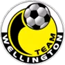 Logo of Team Wellington