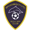 Logo of Broadbeach United
