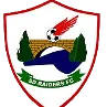 Logo of SD Raiders FC
