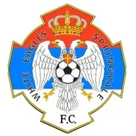 Logo of Springvale White Eagles U20