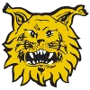 Logo of Ilves U20