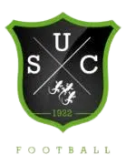Logo of US Chateauneuf sur Loire