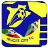 Logo of Ngozi City FC