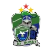 Logo of Minas ICESP DF (w)