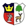 Logo of Cinderford Town