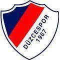 Logo of Duzcespor
