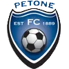 Logo of Petone FC