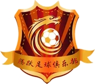 Logo of Dandong Tengyue