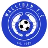 Logo of Wallidan FC