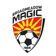 Logo of Broadmeadow Magic