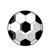 Logo of TJ SH Jiretin/Litvinov