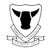 Logo of Ramhlun Athletic