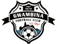 Logo of Gwambina FC
