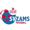 Logo of Zams