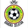 Logo of Bangka Selatan