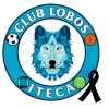 Logo of Lobos ITECA
