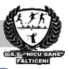 Logo of CN Nicu Gane (w)