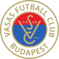 Logo of Vasas FC
