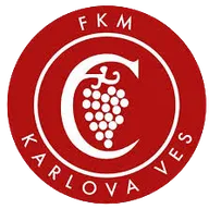 Logo of Karlova Ves U19