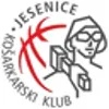 Logo of NK Jesenice