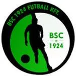Logo of Budaorsi SC