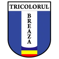 Logo of Tricolorul Breaza