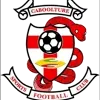Logo of Caboolture FC Reserves